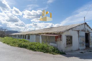 Οικόπεδο 45.000 τ.μ. για πώληση, Βοιωτία, Τανάγρα-thumb-13