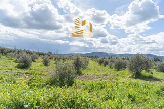 Οικόπεδο 45.000 τ.μ. για πώληση, Βοιωτία, Τανάγρα-thumb-26