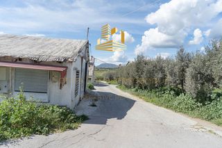 Οικόπεδο 45.000 τ.μ. για πώληση, Βοιωτία, Τανάγρα-thumb-11