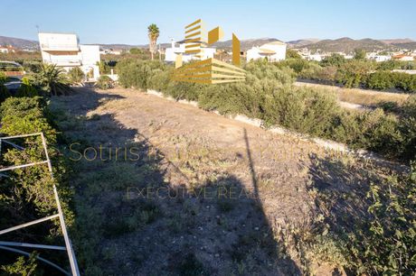 Land plot 730 sqm for sale