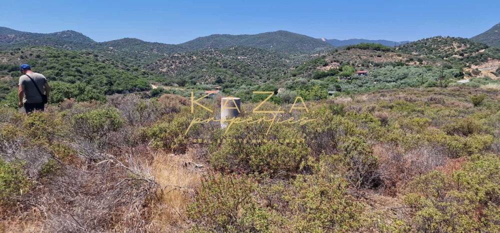 Αγροτεμάχια 6.432 τ.μ. προς πώληση, Παραλία Ελαιοχωρίου
