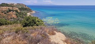 Αγροτεμάχια 6.432 τ.μ. προς πώληση, Παραλία Ελαιοχωρίου-thumb-4