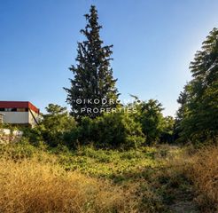 Οικόπεδο 2.891 τ.μ. για πώληση