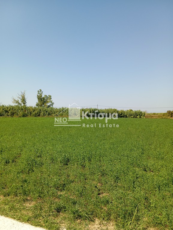 Οικόπεδο 4.265 τ.μ. πρός πώληση, Ν. Ηλείας, Πύργος