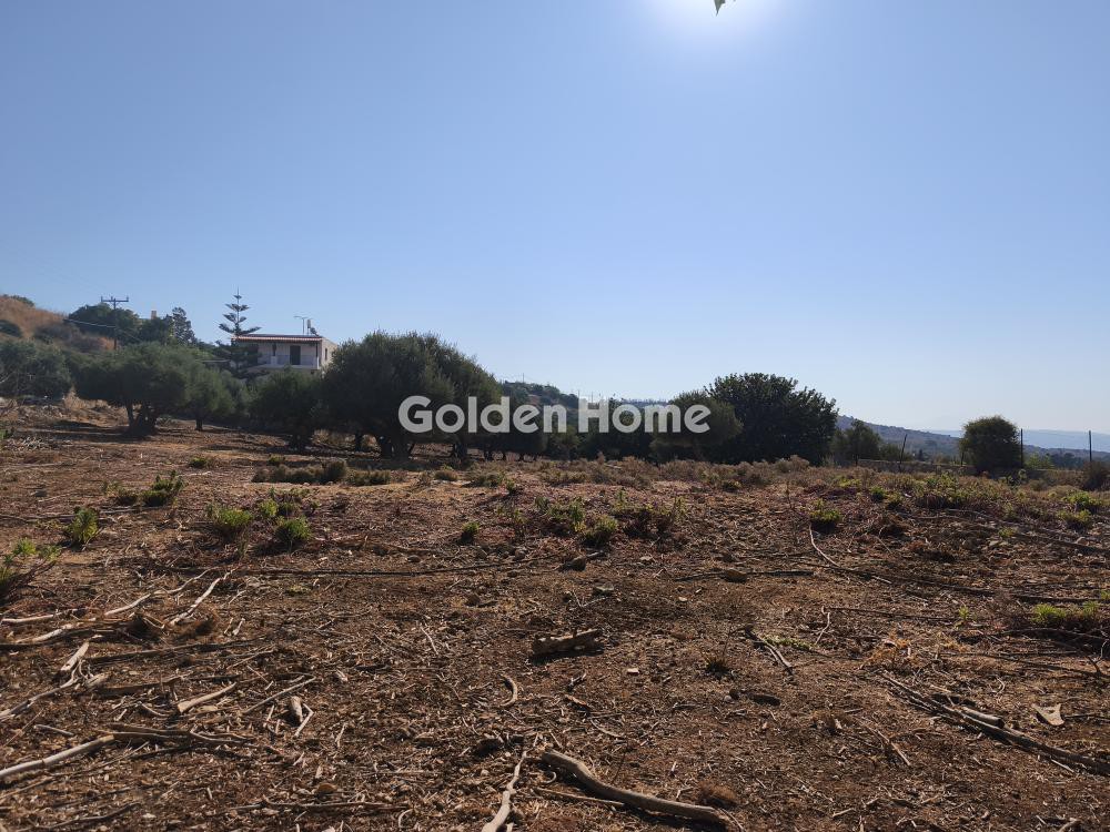 Οικόπεδο 4.612 τ.μ. προς πώληση, Μεγάλα Χωράφια