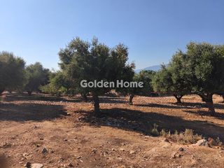 Οικόπεδο 4.612 τ.μ. για πώληση