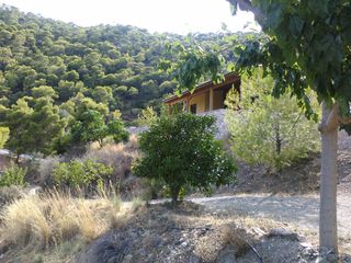 Detached home 79 sqm for sale