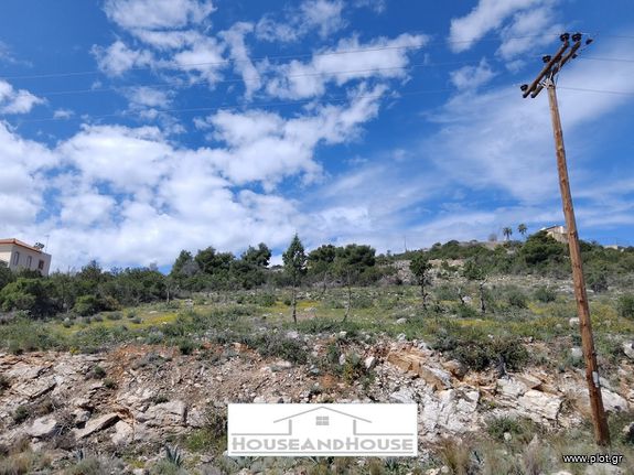 Οικόπεδο 1.113 τ.μ. για πώληση, Φθιώτιδας, Μαλεσίνης