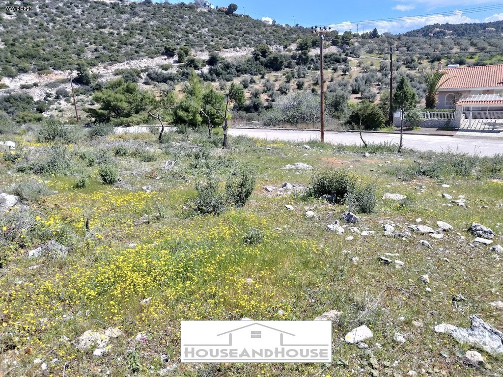 Οικόπεδο 1.113 τ.μ. πρός πώληση, Φθιώτιδας, Μαλεσίνης