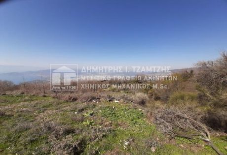 Αγροτεμάχια 4.046 τ.μ. πρός πώληση