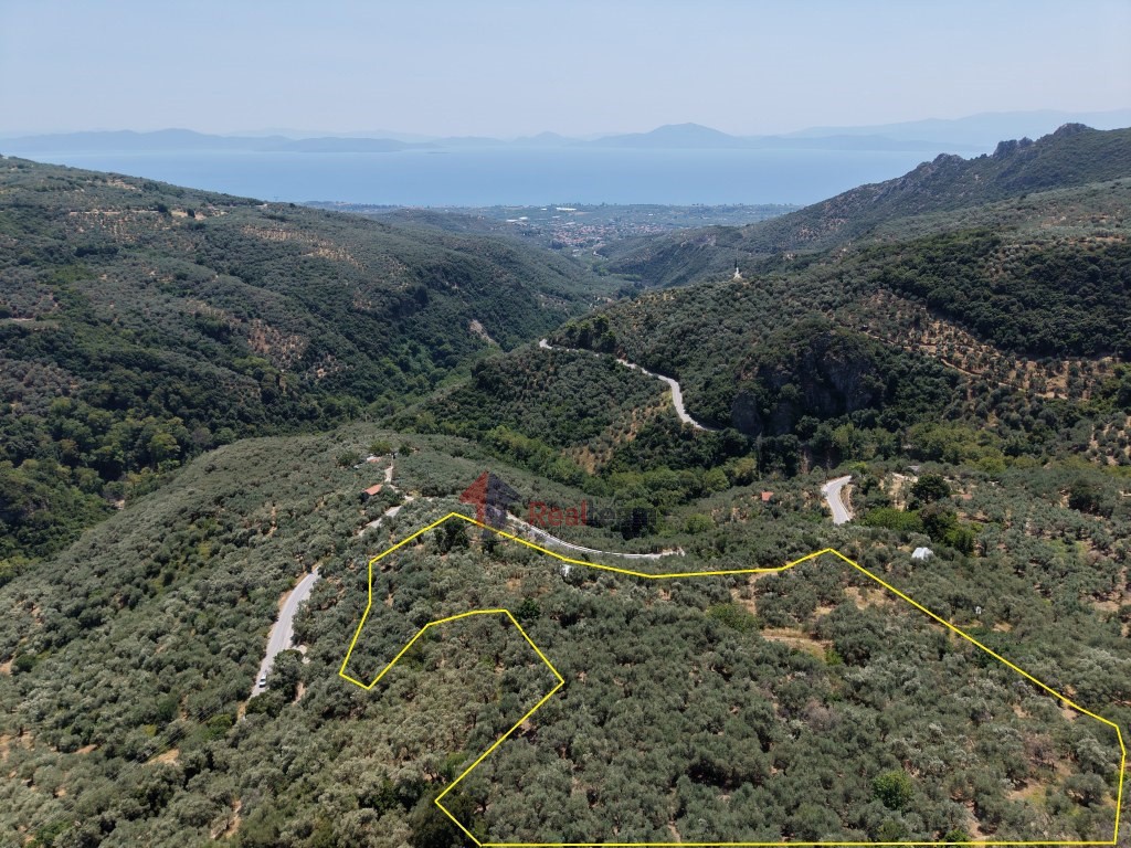 Αγροτεμάχια 15.857 τ.μ. πρός πώληση, Μαγνησία, Αγριά