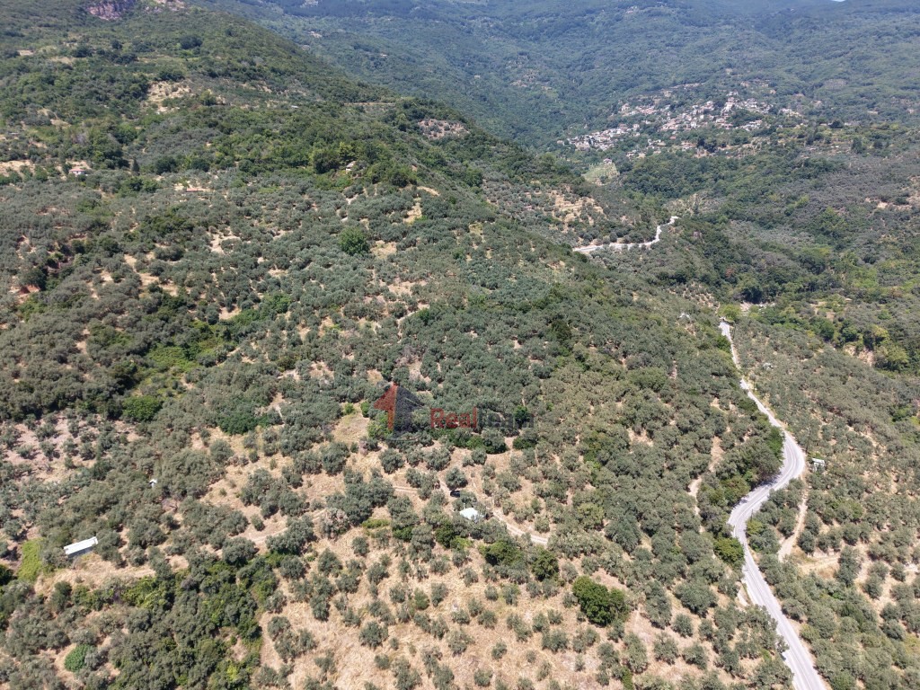 Αγροτεμάχια 15.857 τ.μ. πρός πώληση, Μαγνησία, Αγριά