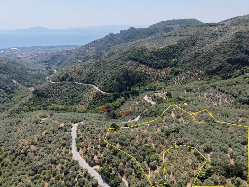 Αγροτεμάχια 15.857 τ.μ. πρός πώληση, Μαγνησία, Αγριά
