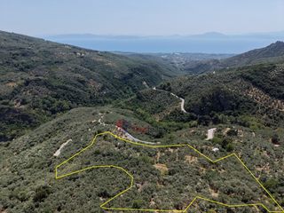Αγροτεμάχια 15.857 τ.μ. για πώληση