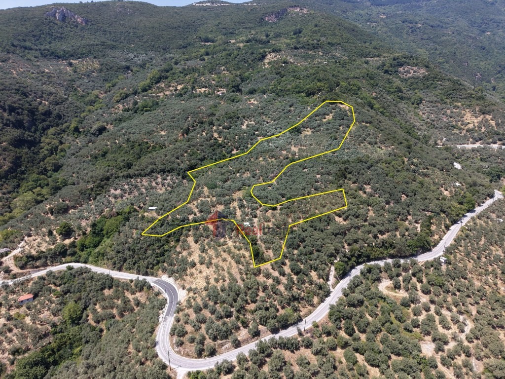 Αγροτεμάχια 15.857 τ.μ. πρός πώληση, Μαγνησία, Αγριά