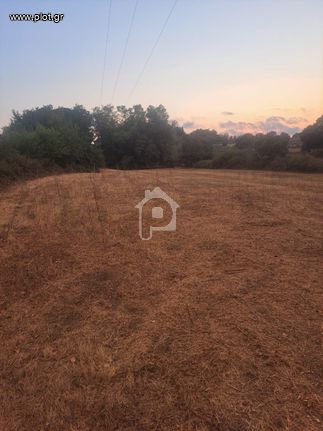 Αγροτεμάχια 5.830 τ.μ. για πώληση, Ν. Πρέβεζας, Πρέβεζα