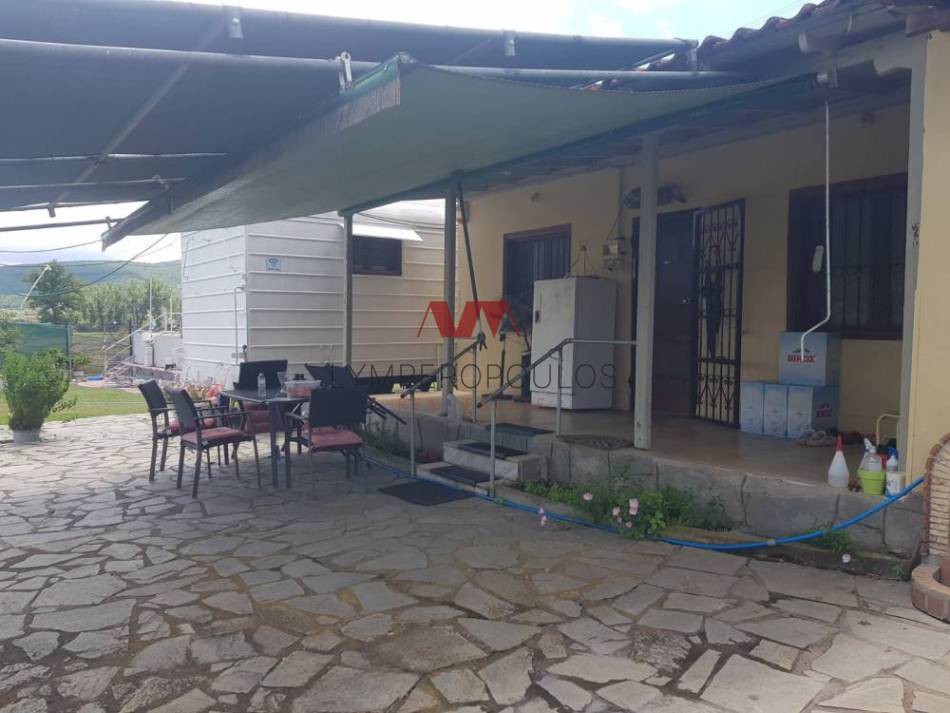 Αγροτεμάχια 33.000 τ.μ. πρός πώληση, Θεσσαλονίκη - Υπόλ. Νομού, Καλλίνδοια