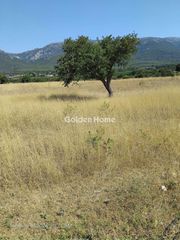 Αγροτεμάχια 4.545 τ.μ. για πώληση