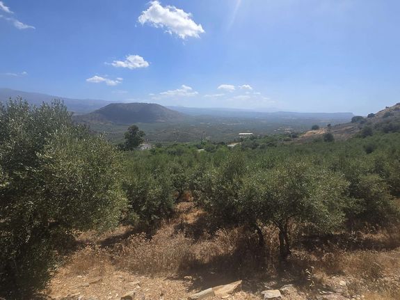 Οικόπεδο 8.315 τ.μ. για πώληση, Ν. Ρεθύμνου, Γεροπόταμος