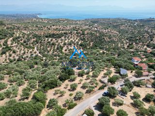 Οικόπεδο 2.965 τ.μ. για πώληση, Μεσσηνία, Κορώνη-thumb-1