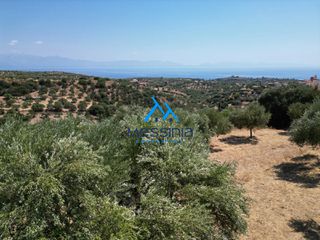 Οικόπεδο 2.965 τ.μ. για πώληση, Μεσσηνία, Κορώνη-thumb-8