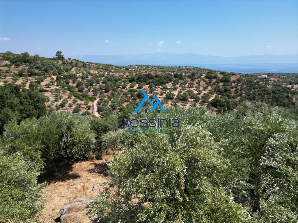 Οικόπεδο 2.965 τ.μ. πρός πώληση, Μεσσηνία, Κορώνη