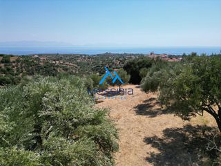 Οικόπεδο 2.965 τ.μ. για πώληση, Μεσσηνία, Κορώνη-thumb-7