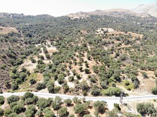 Οικόπεδο 1.360 τ.μ. για πώληση, Ν. Ρεθύμνου, Φοινίκας-thumb-5