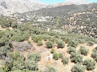 Οικόπεδο 1.360 τ.μ. για πώληση, Ν. Ρεθύμνου, Φοινίκας-thumb-6