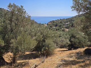 Οικόπεδο 1.360 τ.μ. για πώληση, Ν. Ρεθύμνου, Φοινίκας-thumb-9