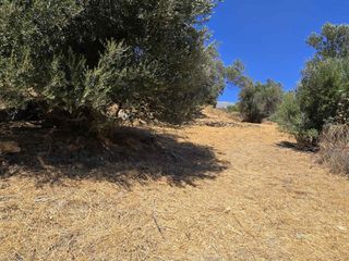 Οικόπεδο 1.360 τ.μ. για πώληση, Ν. Ρεθύμνου, Φοινίκας-thumb-3