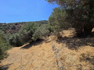 Οικόπεδο 1.360 τ.μ. για πώληση, Ν. Ρεθύμνου, Φοινίκας-thumb-2