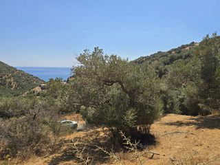 Οικόπεδο 1.360 τ.μ. για πώληση, Ν. Ρεθύμνου, Φοινίκας-thumb-1
