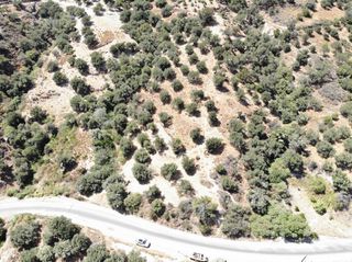 Οικόπεδο 1.360 τ.μ. για πώληση, Ν. Ρεθύμνου, Φοινίκας-thumb-8