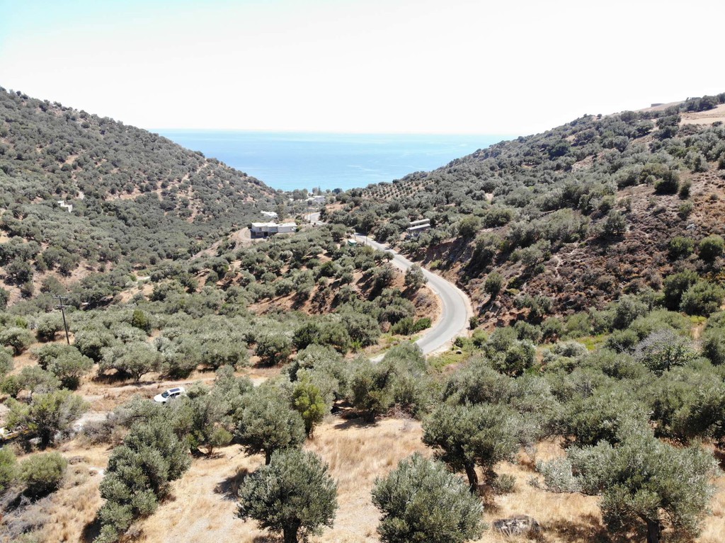 Οικόπεδο 1.360 τ.μ. πρός πώληση, Ν. Ρεθύμνου, Φοινίκας