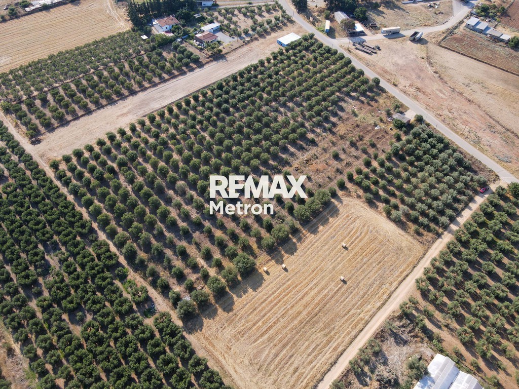 Αγροτεμάχια 6.129 τ.μ. πρός πώληση, Χαλκιδική, Μουδανιά