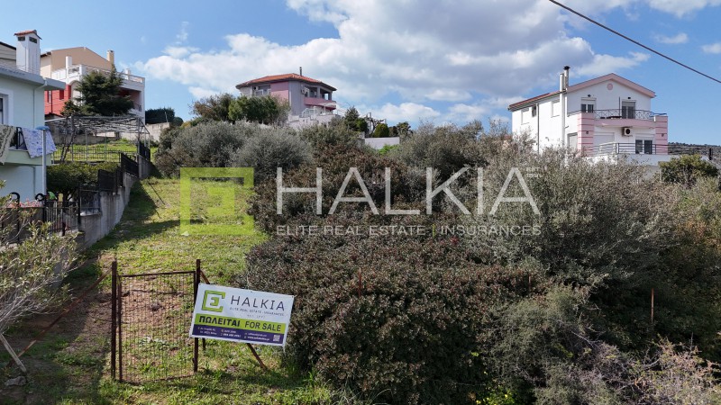 Οικόπεδο 599 τ.μ. πρός πώληση, Μαγνησία, Βόλος