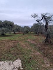 Αγροτεμάχια 1.439 τ.μ. για πώληση, Ν. Καβάλας, Θάσος-thumb-1