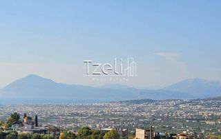 Μεζονέτα 165 τ.μ. για ενοικίαση, Αχαΐα, Μεσσατίδα-thumb-20