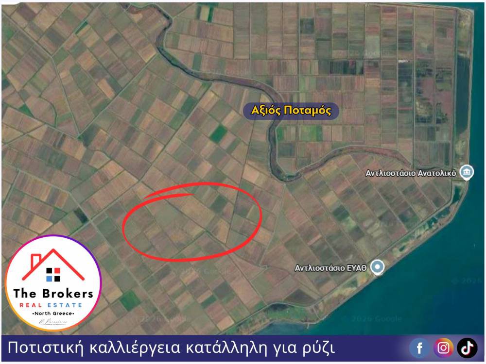 Αγροτεμάχια 8.600 τ.μ. προς πώληση, Κέντρο Εχεδώρου