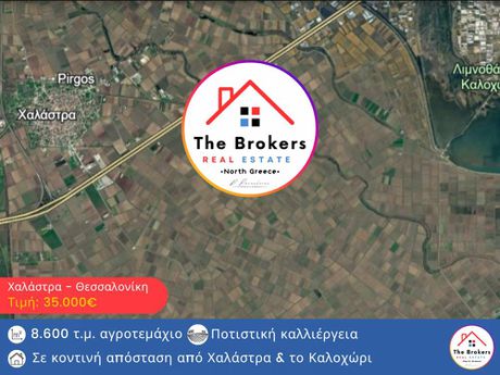 Αγροτεμάχια 8.600 τ.μ. προς πώληση