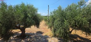 Μεζονέτα 80 τ.μ. για ενοικίαση, Μεσσηνία, Μεσσήνη-thumb-20