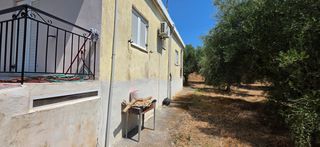 Μεζονέτα 80 τ.μ. για ενοικίαση, Μεσσηνία, Μεσσήνη-thumb-21