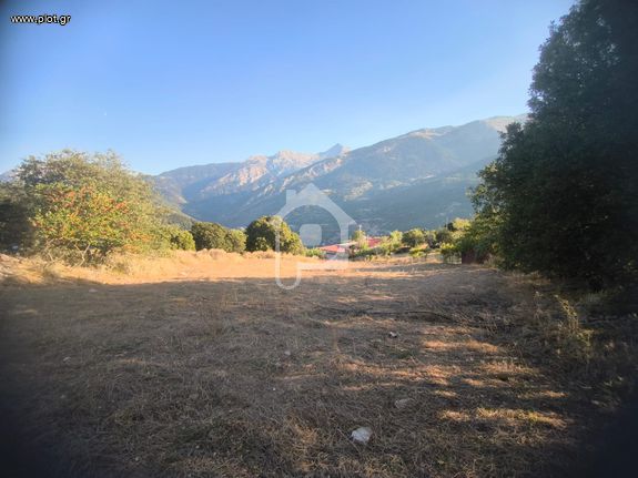 Οικόπεδο 5.000 τ.μ. για πώληση, Αχαΐα, Φαρές