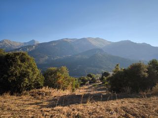 Οικόπεδο 5.000 τ.μ. για πώληση, Αχαΐα, Φαρές-thumb-3