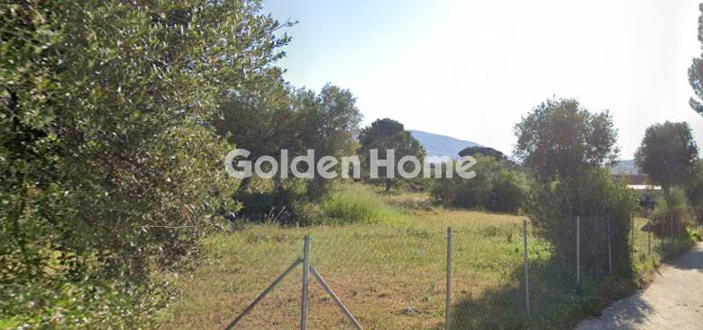 Αγροτεμάχια 1.900 τ.μ. προς πώληση, Λαγονήσι