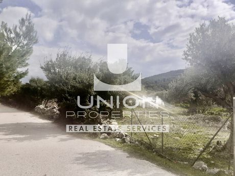 Οικόπεδο 2.546 τ.μ. πρός πώληση
