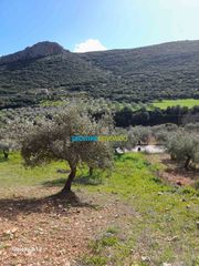 Οικόπεδο 2.053 τ.μ. για πώληση