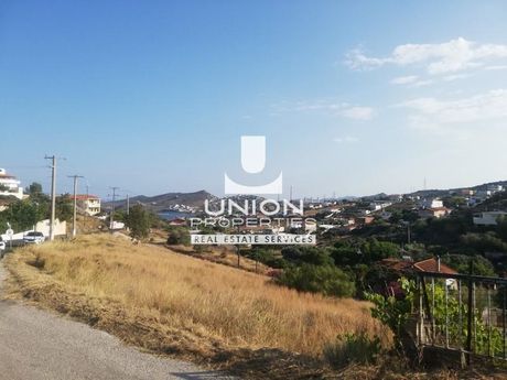 Οικόπεδο 4.520 τ.μ. πρός πώληση