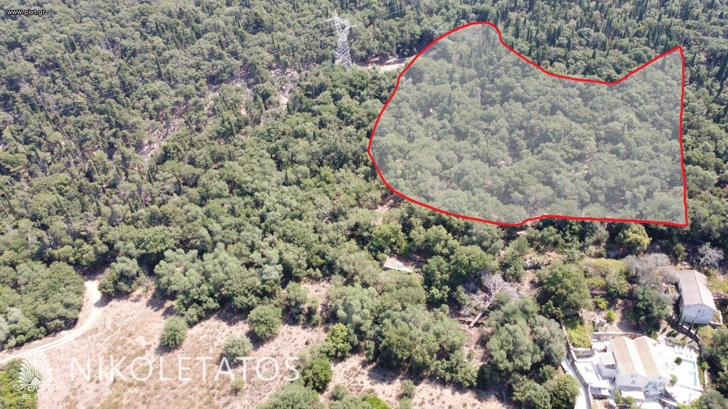 Οικόπεδο 4.000,39 τ.μ. πρός πώληση, Ν. Κεφαλονιάς, Κεφαλονιά